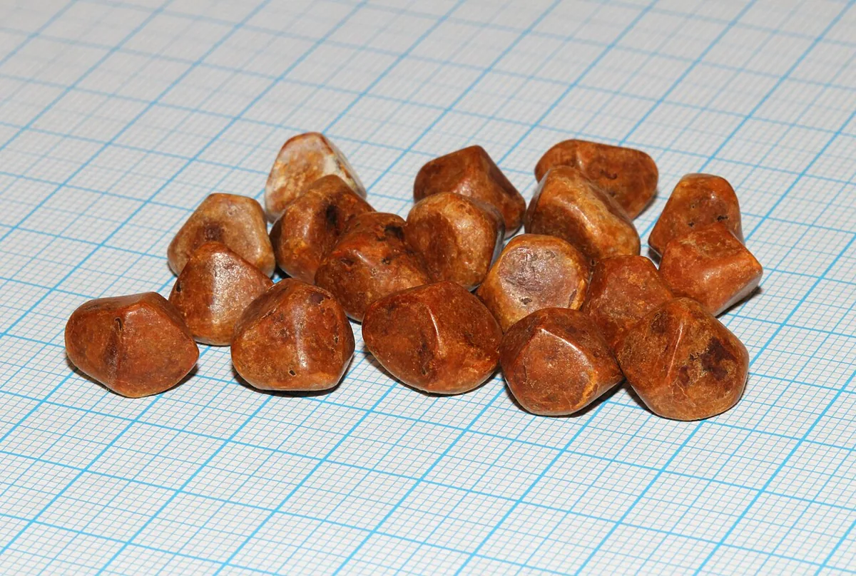 Cholezystolithiasis und akute Cholezystitis (Gallensteine) – Makropräparat: Gallensteine auf Millimeterpapier: zahlreiche facettierte, rotbraune Steine ähnlicher Größe