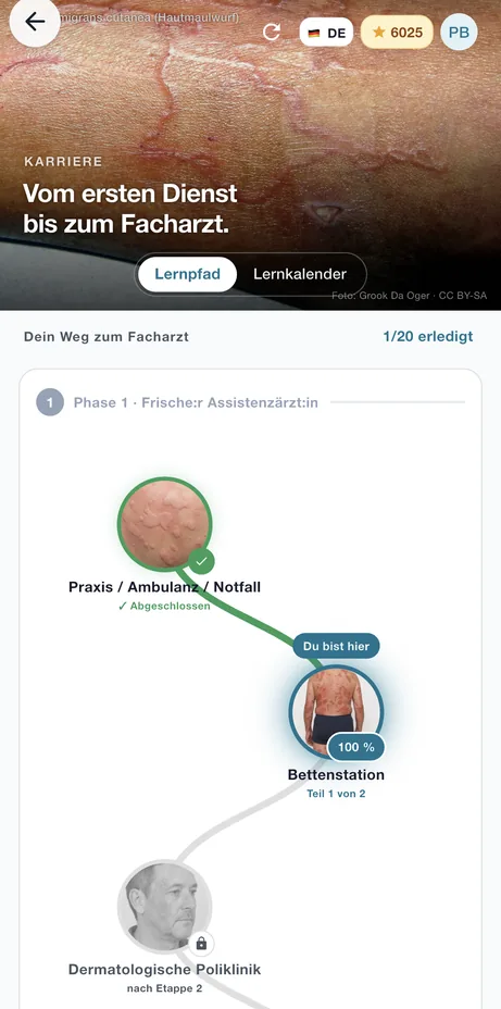 Learning path